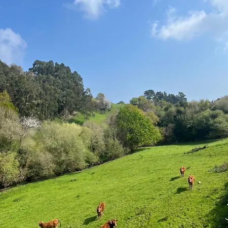 Kirana - Gran Terraza Y Jardin *