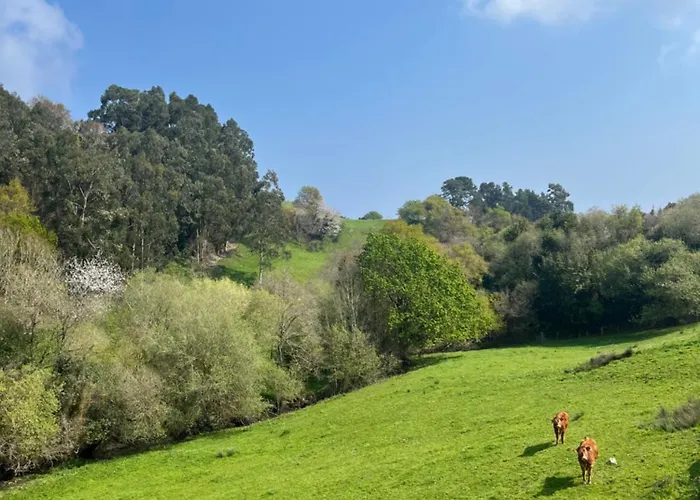 Kirana - Gran Terraza Y Jardin *